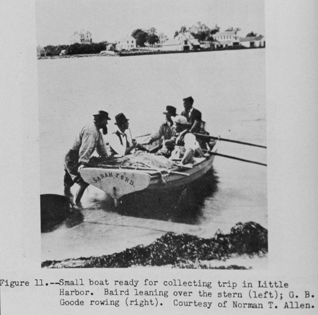 Spencer Fullerton Baird and George Brown Goode on Little Harbor collecting trip