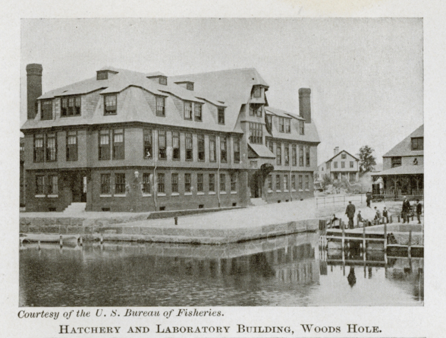 Hatchery and laboratory building at Woods Hole