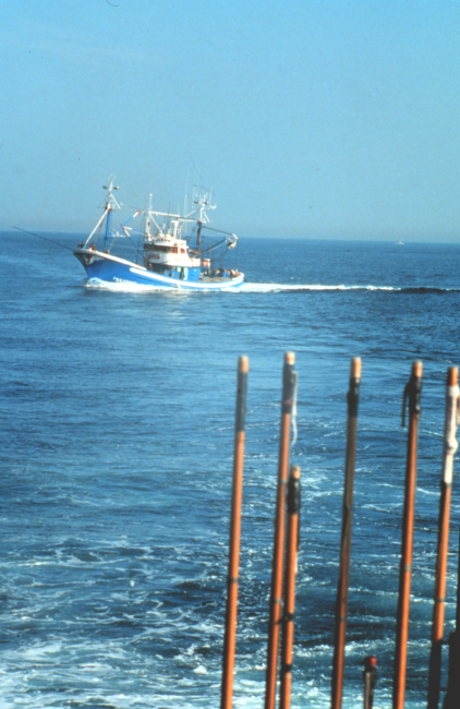 Tuna boat from Fuenterrabia, Northern Spain