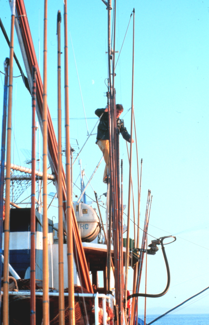 After fishing, any light damage to the poles is repaired
