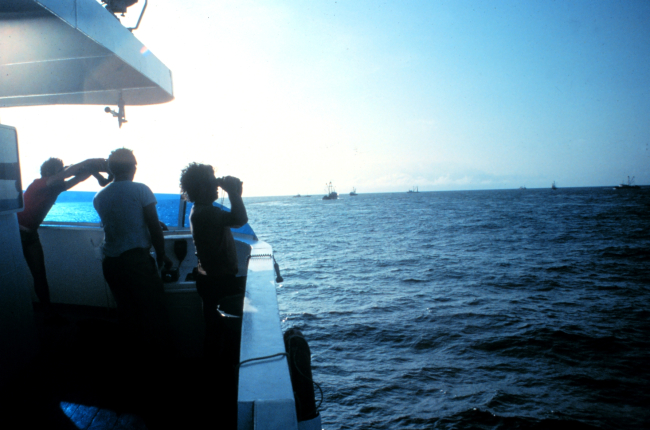 Spotters looking for signs of tuna such as logs on surface or agitated water