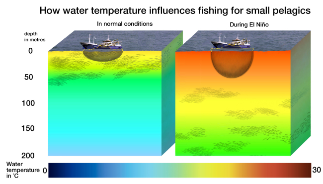 The result of changes of water temperature on fisheries is significant