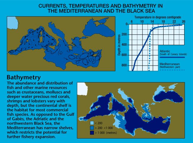 Currents and Temperature - Atlantic waters enter the Mediterranean through theStraits of Gibraltar and flow east along the North African coast, becoming moresaline as evaporation exceeds freshwater inflows