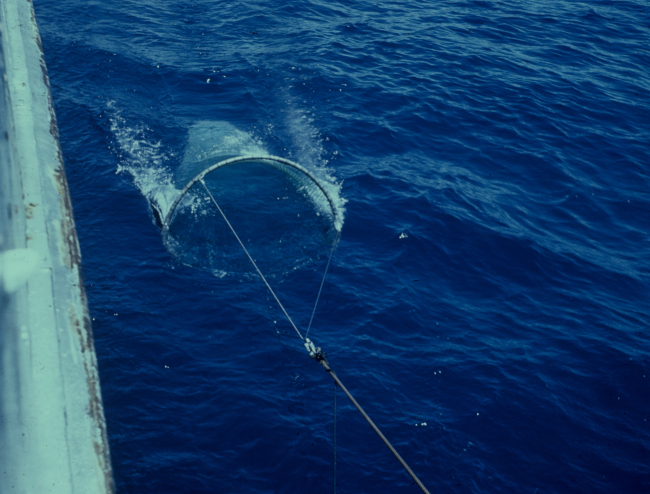 Towing net designed to capture larval and juvenile fish
