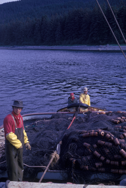 Salmon seining net on deck
