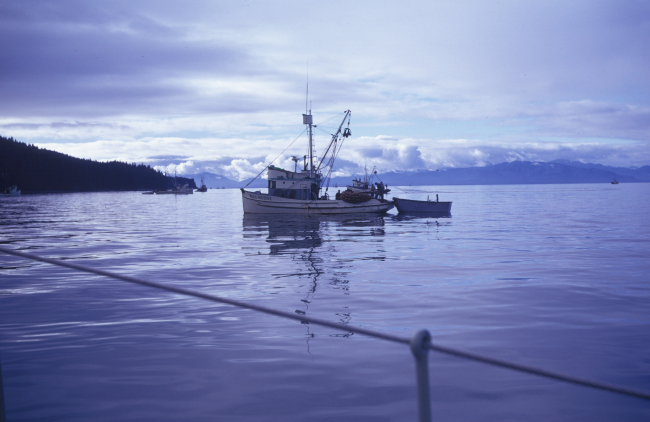 The salmon seiner BULL MOOSE with other vessels of the salmon seining fleet insight
