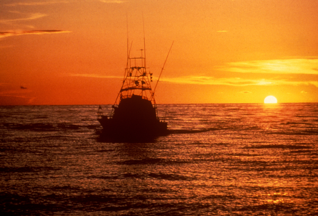 Sport fishing boat returning to port at sunset