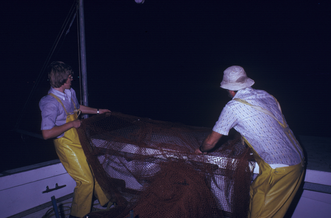Manually hauling net aboard the NMFS Research Vessel RACHEL CARSON