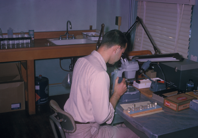 Laboratory scientist at work