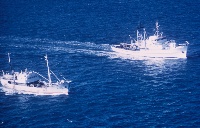ALBATROSS IV on right sailing parallel to unidentified fishing vessel K-9112