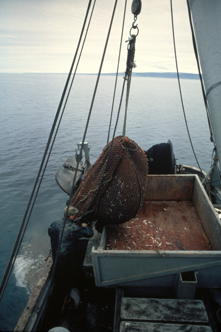 Shrimp boat in Alaskan waters
