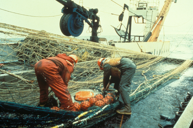 Trawling operations on the NOAA ship MILLER FREEMAN