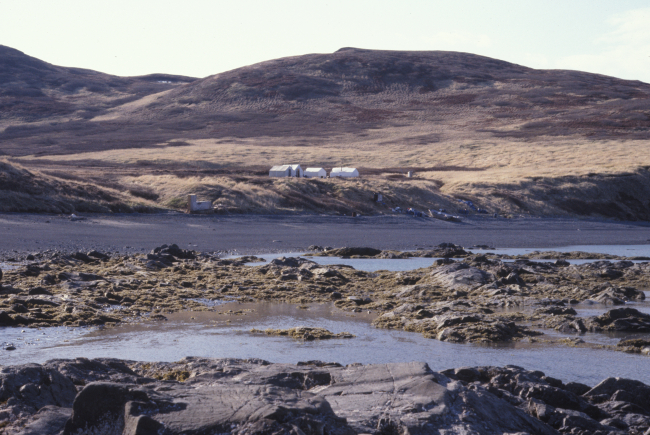 Camp for roe herring fishery at Summit Island