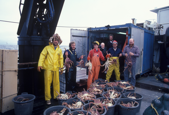 Scientists displaying king crab caught in Bering Sea by trawling on researchcruise