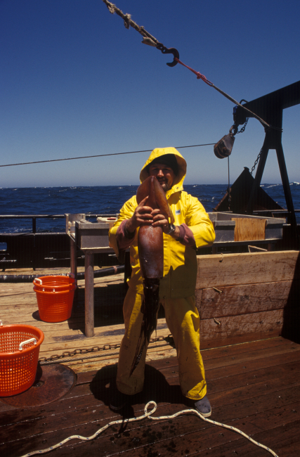 Scientist sorting biota captured during bottom trawling sampling work