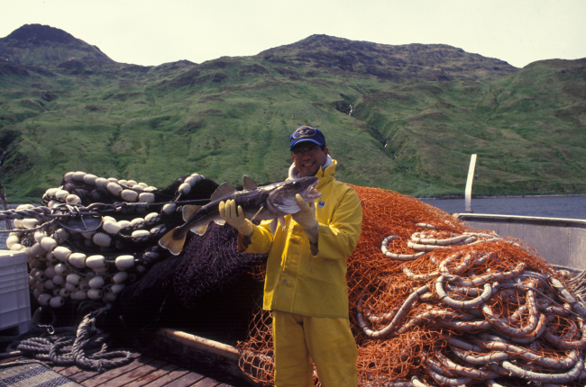 Allen Shimada displaying fish caught at Dutch Harbor