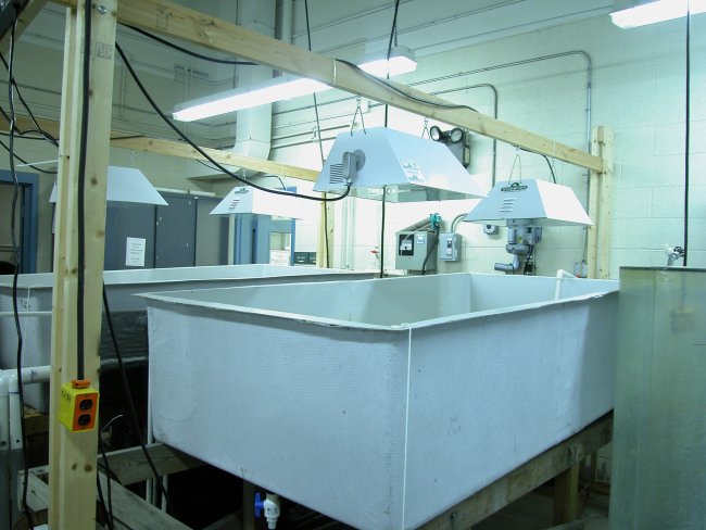 Algae growth tanks with lights at Bridgeport Aquaculture Vocational School lab