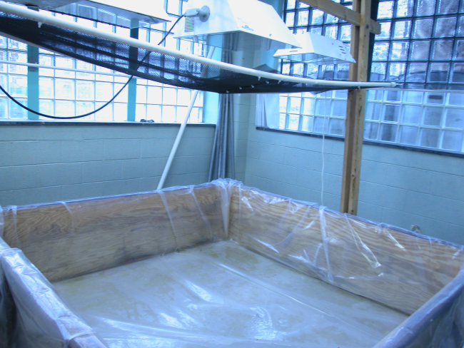 Empty algae growth tank waiting to be stocked by students