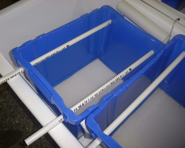 Empty plastic unit with mesh bottom used for holding clam spatat Harbor Branch Oceanographic Institute