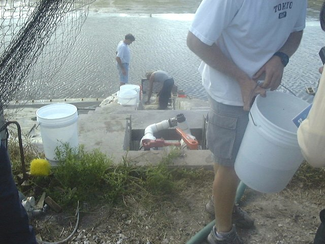 Pond stocking of red drum fingerlings for Florida stock enhancement programs