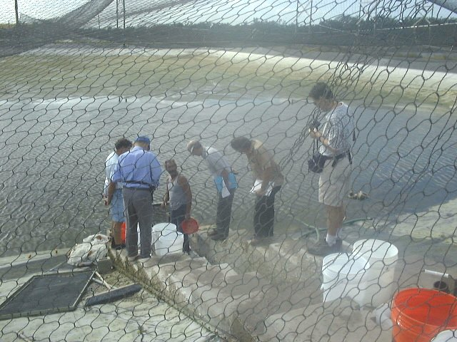 Pond stocking of red drum fingerlings for Florida stock enhancement programs