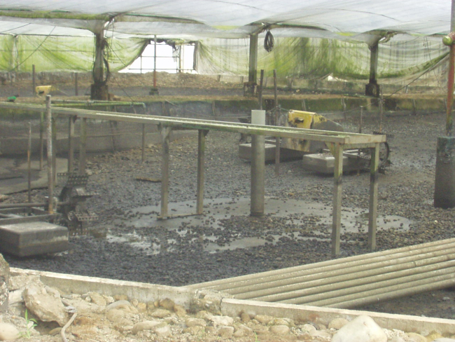 Fallow eel culture pond showing transport table, aeration machine andextensive pipe structure