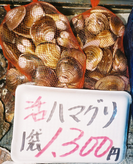 Clams, Mactra chinensis, for sale at the Shiogama market in Japan