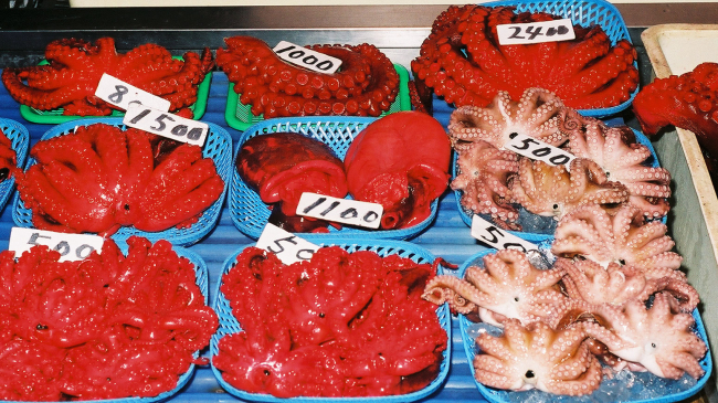 Live octopus for sale at the Shiogama market in Japan
