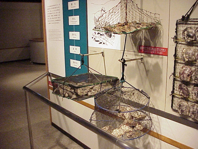 Types of hanging nets used in pearl culture in Japan
