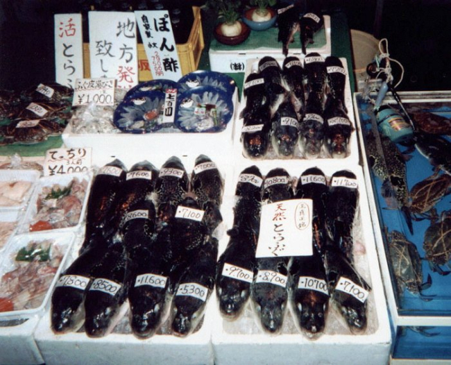 Assorted shellfish, finfish and crabs at a Japanese market