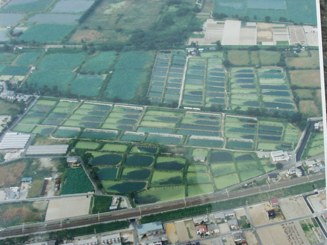 Aerial view of Hattori-Nakamura Soft-shelled Turtle Farm