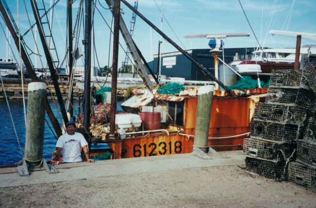 New England fisherman with lobster pots on the dock