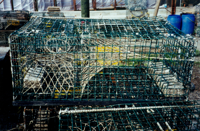Lobster pots on the dock
