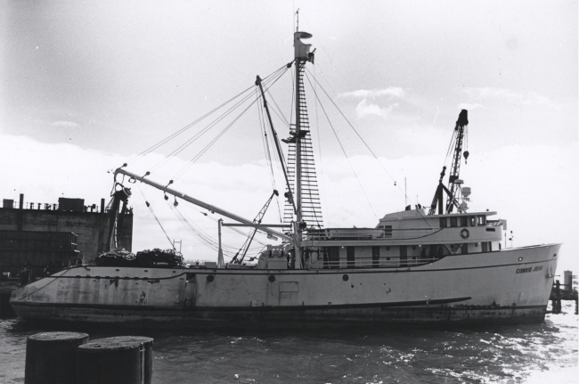 Tuna vessel CONNIE JEAN