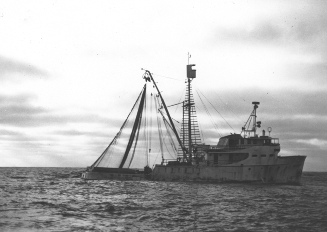 Tuna vessel with prototype purse seine net