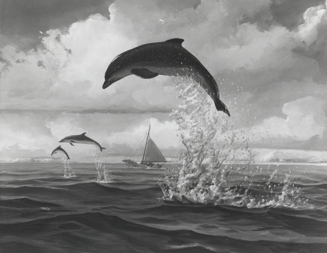 Art work illustrating story on saving porpoises from death in tuna nets