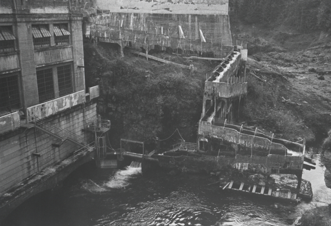 River Mill Dam fish ladder