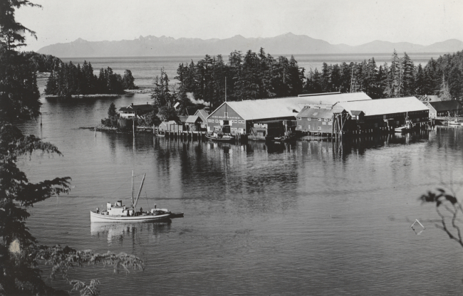 Salmon cannery and herring reduction plant