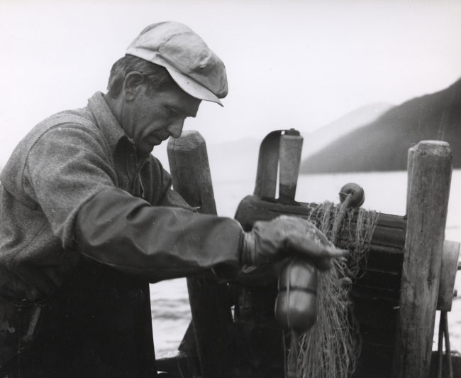 Retrieving gill net used in salmon fishing