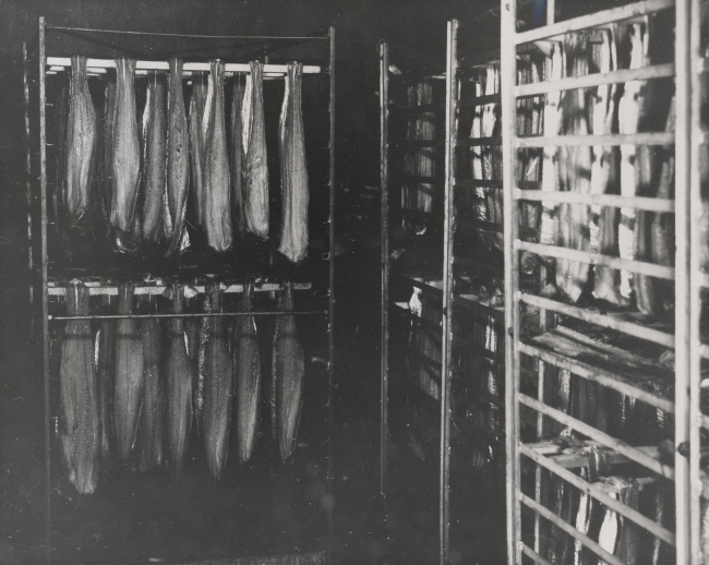King salmon hanging in smokehouse at the South Bend Oyster Company