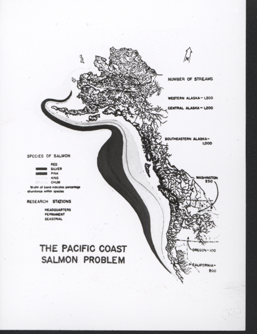 The Pacific Coast Salmon Problem showing the range of salmon and the number ofsalmon streams throughout the area