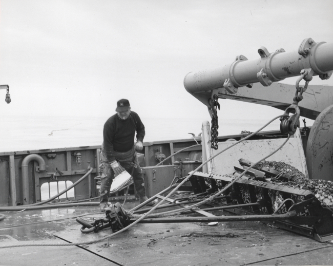 Handling sea scallop dredge aboard BCF ship ALBATROSS IV