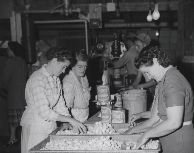 Men and women on assembly line at shrimp processing plant