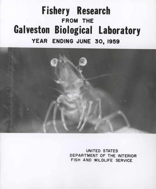 Cover of Galveston Laboratory annual report emphasizing shrimp research