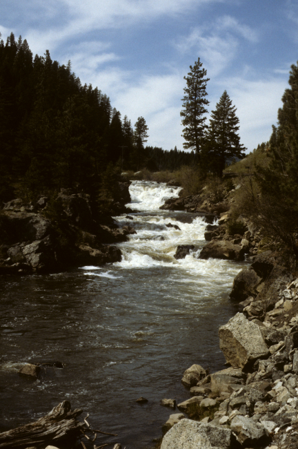Falls on the Little Salmon River -  Tributary to the Salmon River