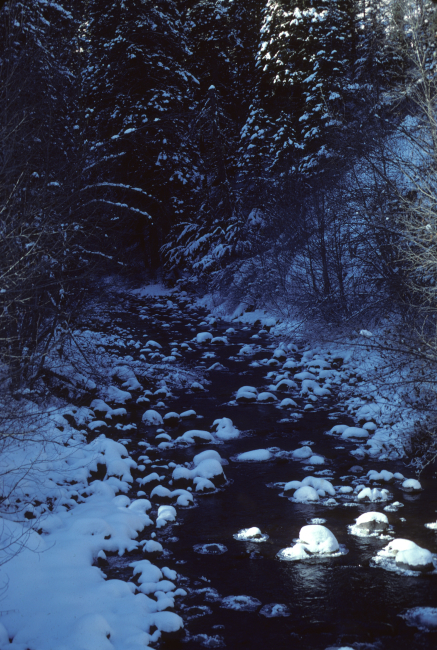 A winter scene along the South Fork of the Umatilla River above Thomas Creek