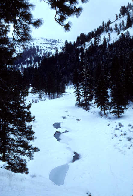 North Fork of the John Day River frozen over below Dale