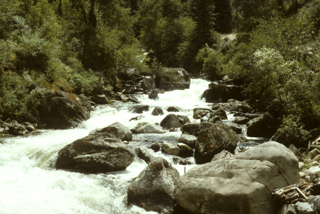 View of French Creek tumbling through boulders on its way to the sea