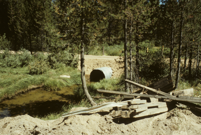 Culvert passing under road on Trout Creek