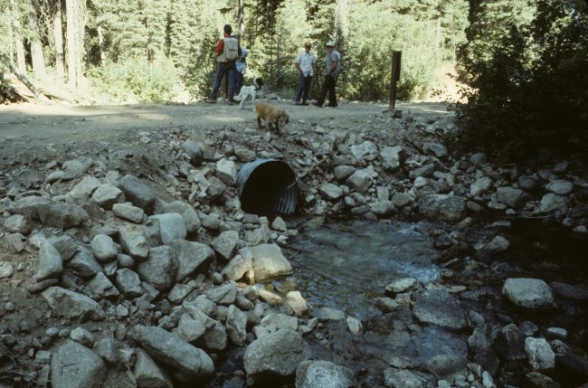 Culvert passing under road on Ditch Creek